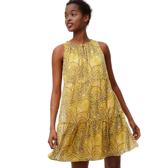 Ann Taylor Dresses & Skirts - Ann Taylor Loft Sun Garden  Swing  Dress Size Small